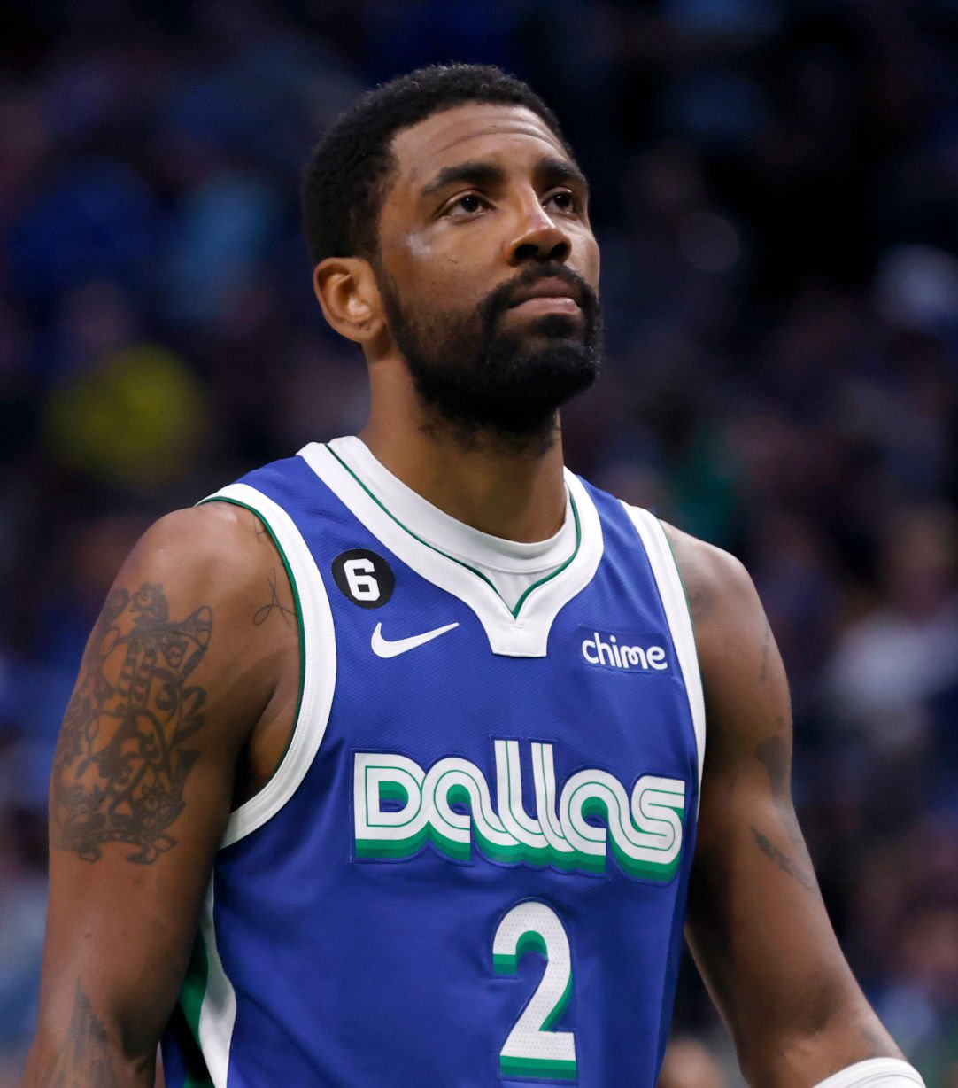 他们可能会 他们可能会